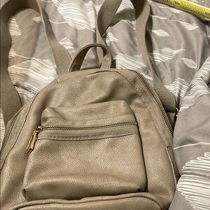 Elegant Taupe Backpack